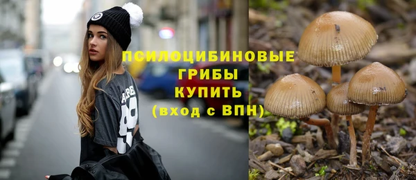 кокс Арсеньев