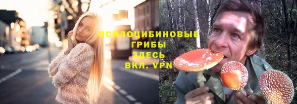 круглые Аркадак