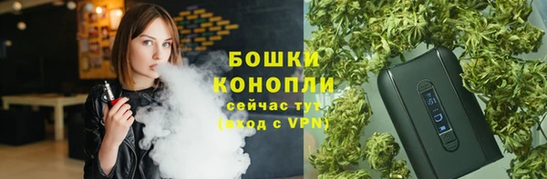 прущие грибы Покачи