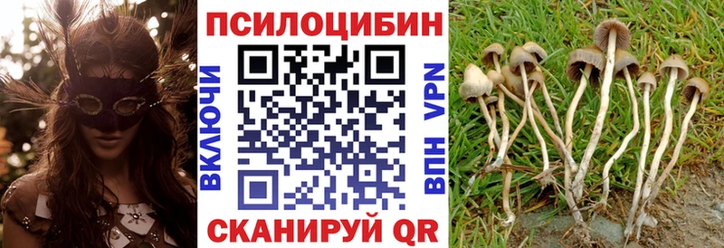 Псилоцибиновые грибы прущие грибы Сасово